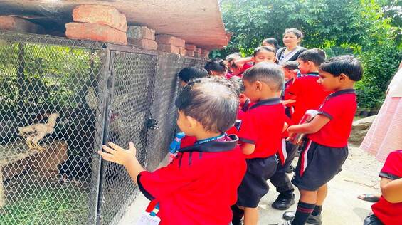 Primary students interacting with farm animals during a field trip.